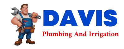 Trusted plumber in SYCAMORE